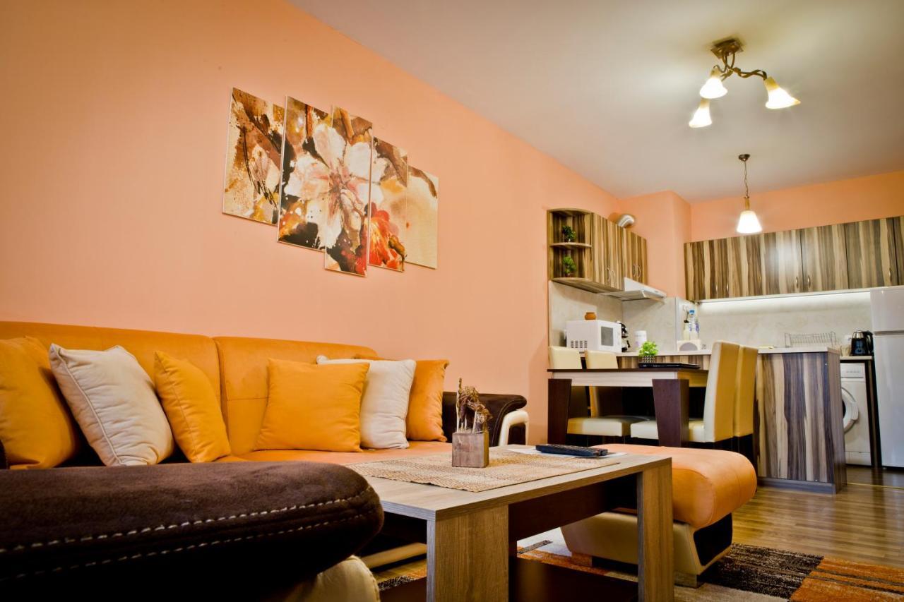 Sunflower Apartment City Center Plovdiv Buitenkant foto